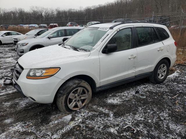 Global Auto Auctions: 2009 HYUNDAI SANTA FE G