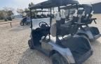 Lot #3024570693 2019 OTHR GOLF CART