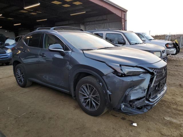 2024 LEXUS NX 250 BAS 2T2ADCAZ8RC008577