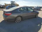 Lot #3025102245 2013 HONDA ACCORD EXL