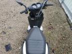 Lot #3044449727 2009 GENUINE SCOOTER CO. ROUGHHOUSE