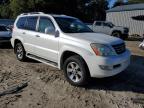 Lot #3033095005 2008 LEXUS GX 470