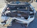 Lot #3024733312 2004 FORD F150