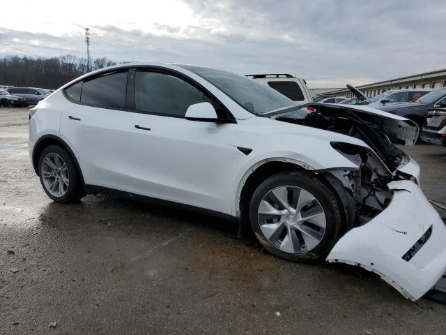 2021 TESLA MODEL Y - 5YJYGDEE7MF255259