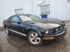 Lot #3033554086 2008 FORD MUSTANG