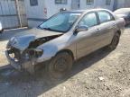 Lot #3024565628 2008 TOYOTA COROLLA CE