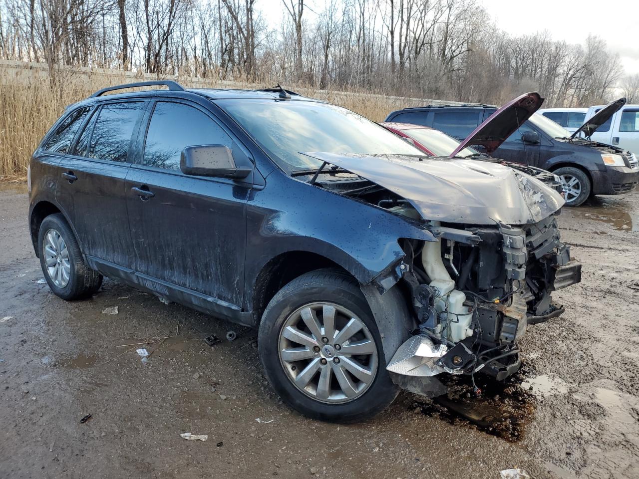 Lot #3045683656 2010 FORD EDGE SEL