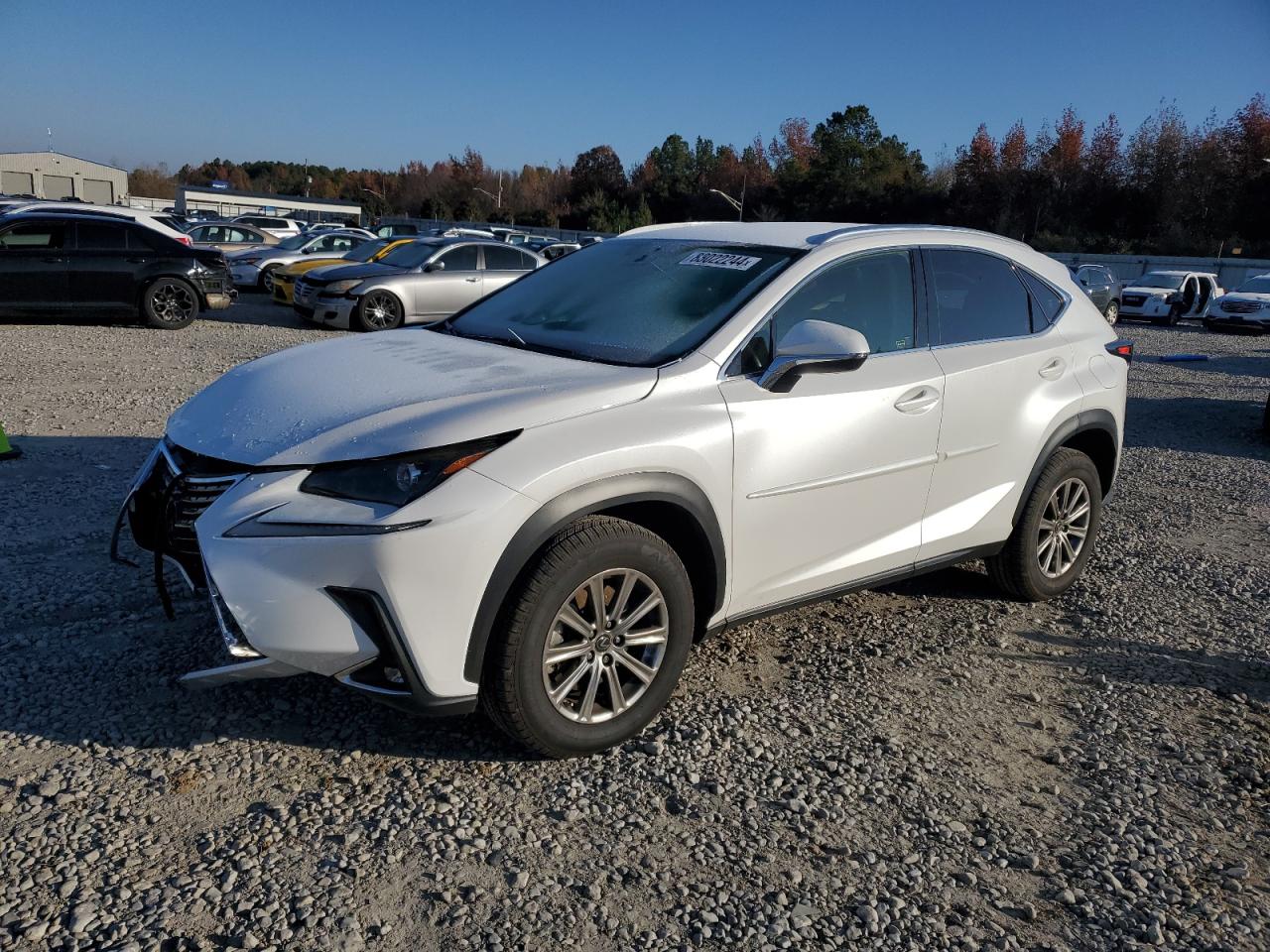 Lot #3034493787 2021 LEXUS NX 300 BAS