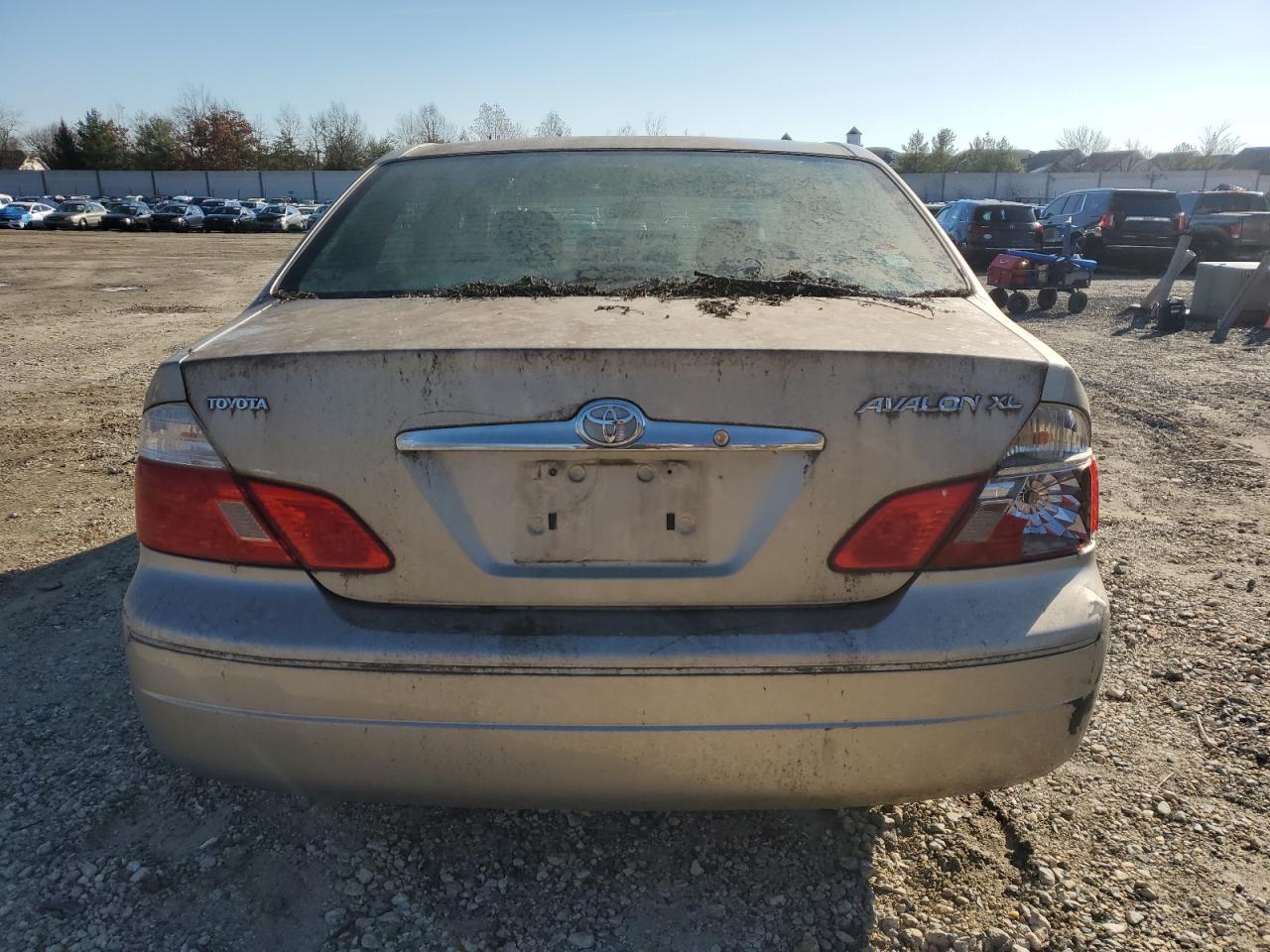 Lot #3037083397 2004 TOYOTA AVALON XL