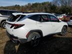 Lot #3024613576 2024 HYUNDAI TUCSON LIM