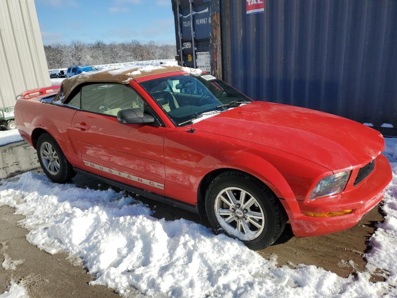 Lot #3030574842 2006 FORD MUSTANG