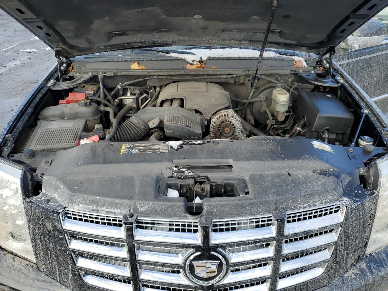 Lot #3029574070 2011 CADILLAC ESCALADE P