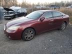 Lot #3024307023 2008 LEXUS ES 350