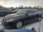 Lot #3024993126 2010 HONDA ACCORD LX