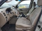 Lot #3037900277 2006 FORD ESCAPE XLT