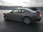 Lot #3033168243 2002 FORD MUSTANG