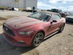 Lot #3024897368 2017 FORD MUSTANG