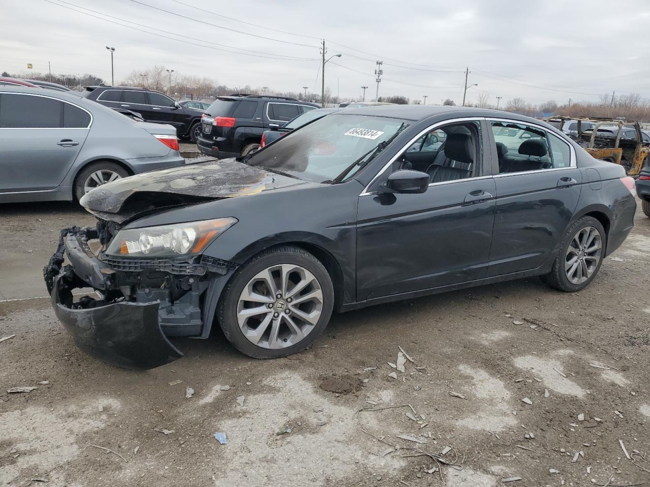 HONDA ACCORD SE