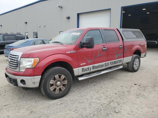 Vin: 1ftfw1etxbfc71858, lot: 83113784, ford f-150 supercrew 2011 img_1