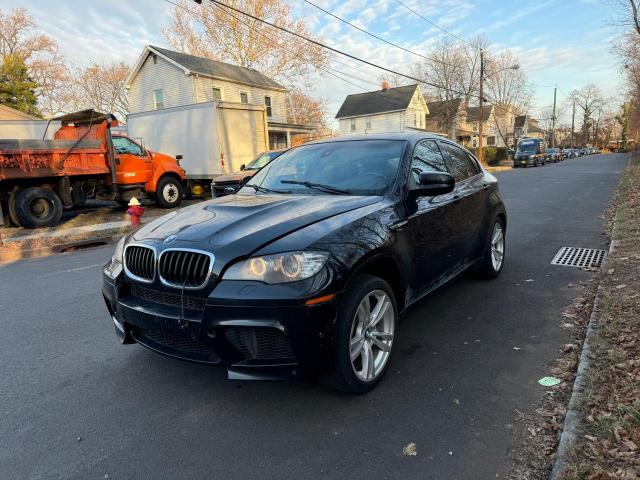 VIN 5YMGZ0C53DLL30139 2013 BMW X6 no.2