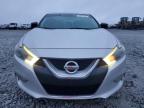 Lot #3034356086 2016 NISSAN MAXIMA 3.5