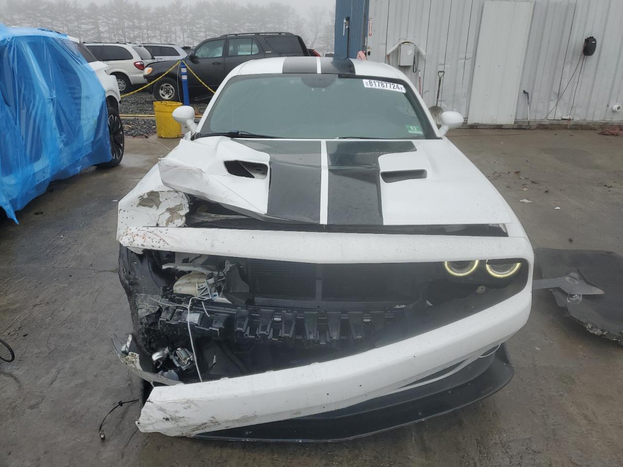 Lot #3034588747 2016 DODGE CHALLENGER