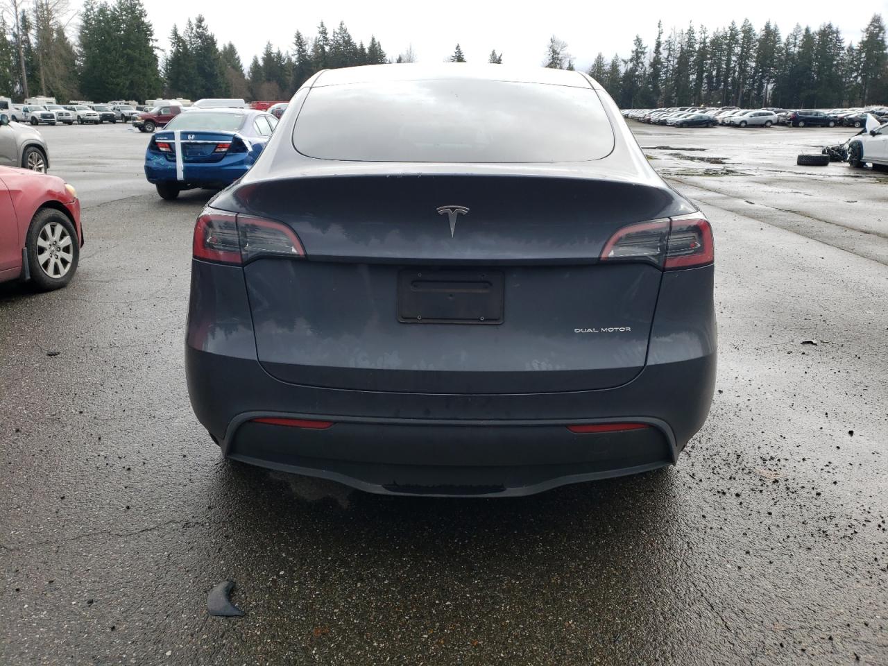 Lot #3034519738 2023 TESLA MODEL Y