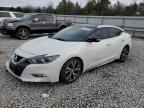 2017 NISSAN MAXIMA 3.5 - 1N4AA6AP8HC367308