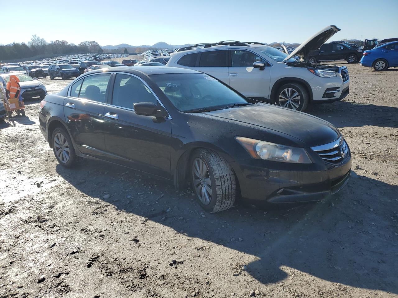 Lot #3033092989 2012 HONDA ACCORD EXL