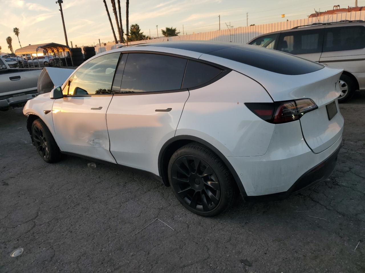 Lot #3030427502 2021 TESLA MODEL Y