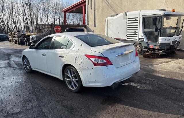 NISSAN MAXIMA S 2010 white sedan 4d gas 1N4AA5APXAC847320 photo #4