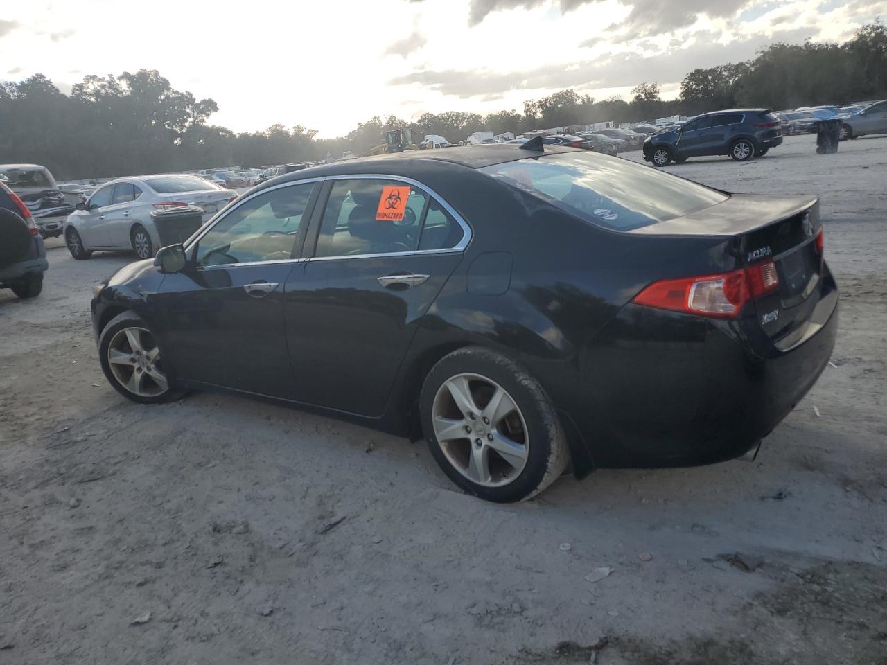 Lot #3025797337 2012 ACURA TSX