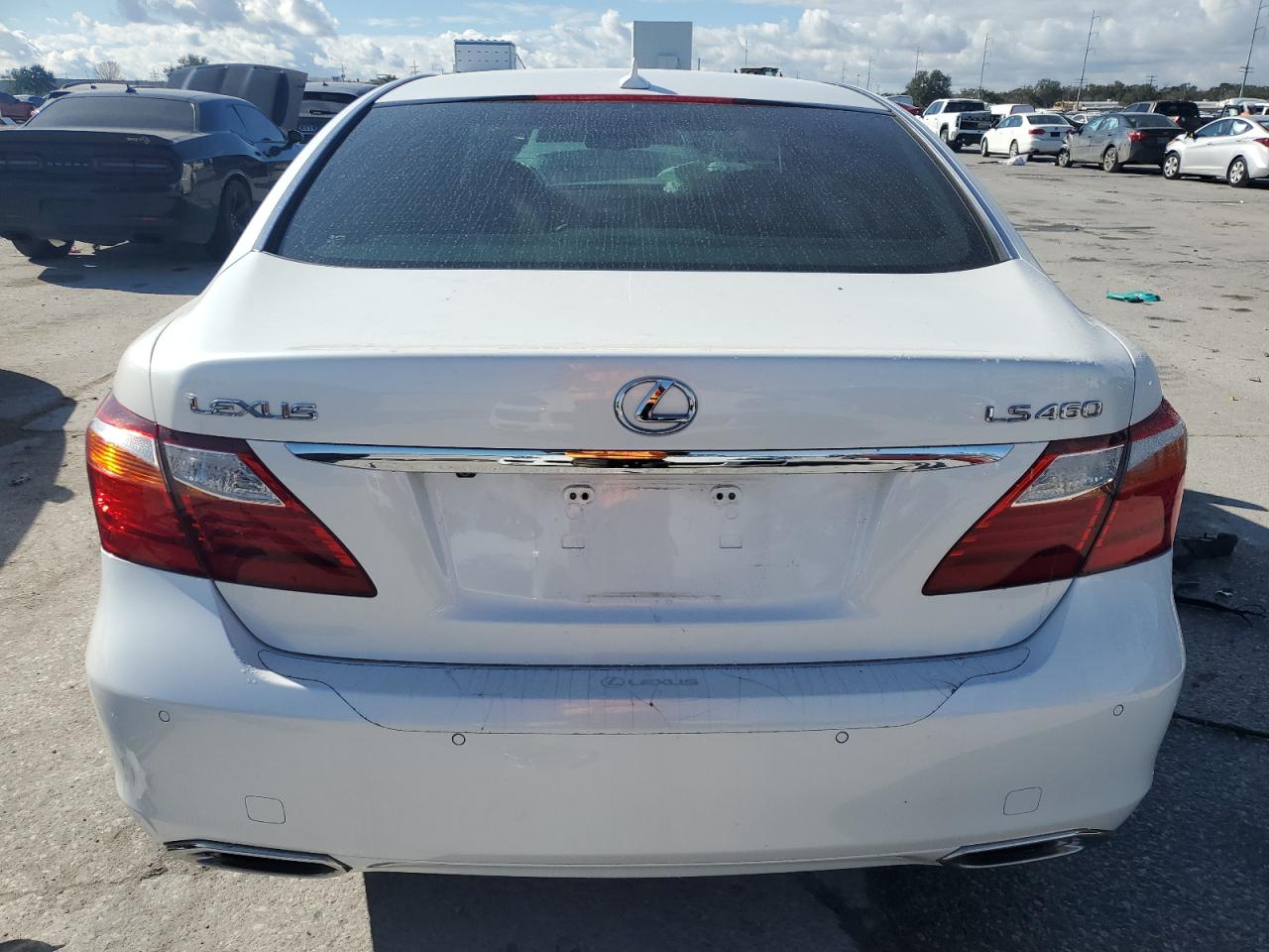 Lot #3049547678 2010 LEXUS LS 460