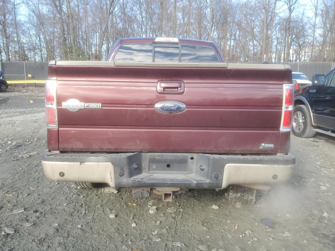 Lot #3024162836 2010 FORD F150