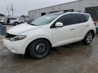 Lot #3047583595 2009 NISSAN MURANO S