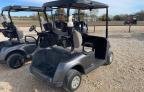 Lot #3024570694 2019 OTHR GOLF CART