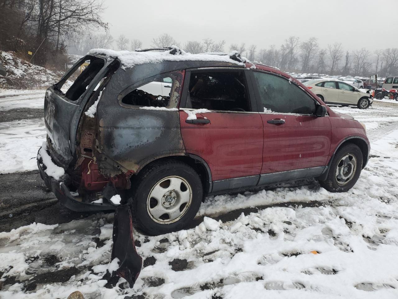 Lot #3033235848 2009 HONDA CR-V LX