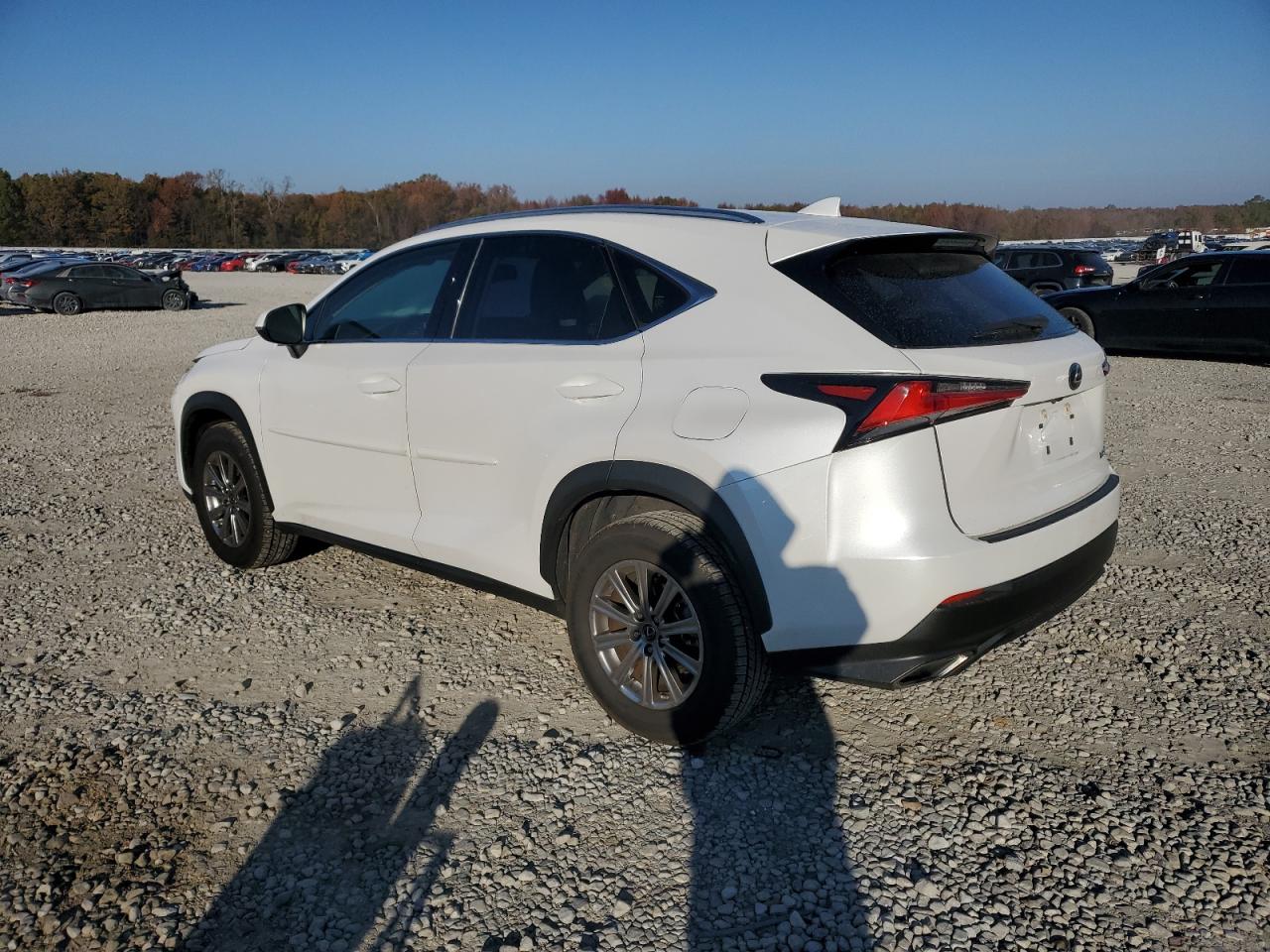 Lot #3034493787 2021 LEXUS NX 300 BAS