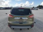 Lot #3027163300 2013 FORD ESCAPE SEL