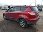 Lot #3024030272 2014 FORD ESCAPE TIT