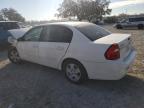 CHEVROLET MALIBU LS 1G1ZT52895F339707 photo