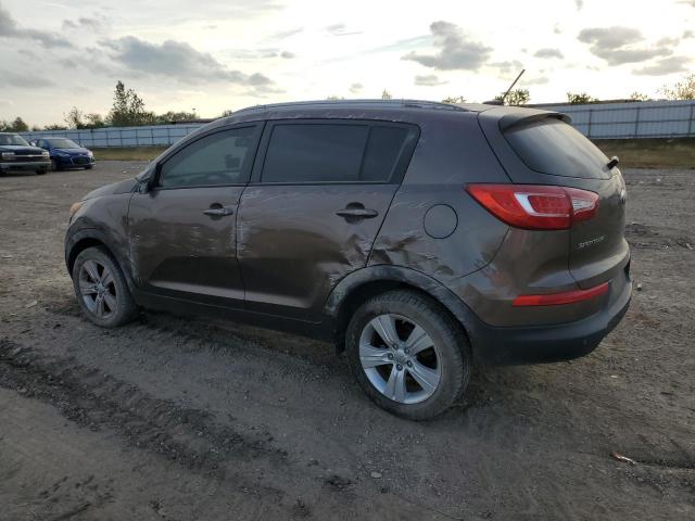 KIA SPORTAGE B 2013 brown 4dr spor gas KNDPB3A23D7465413 photo #3