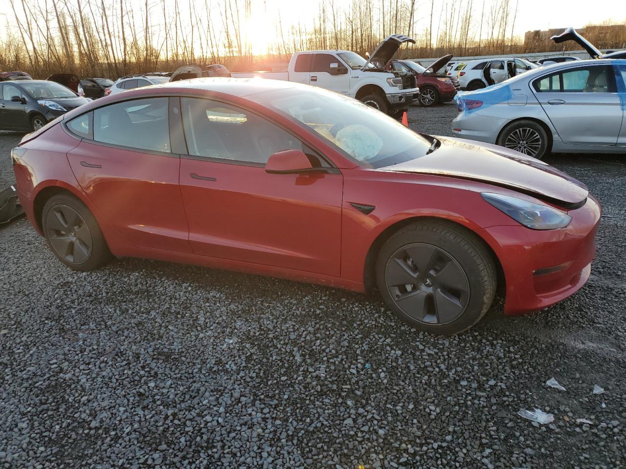 Lot #3034519736 2022 TESLA MODEL 3