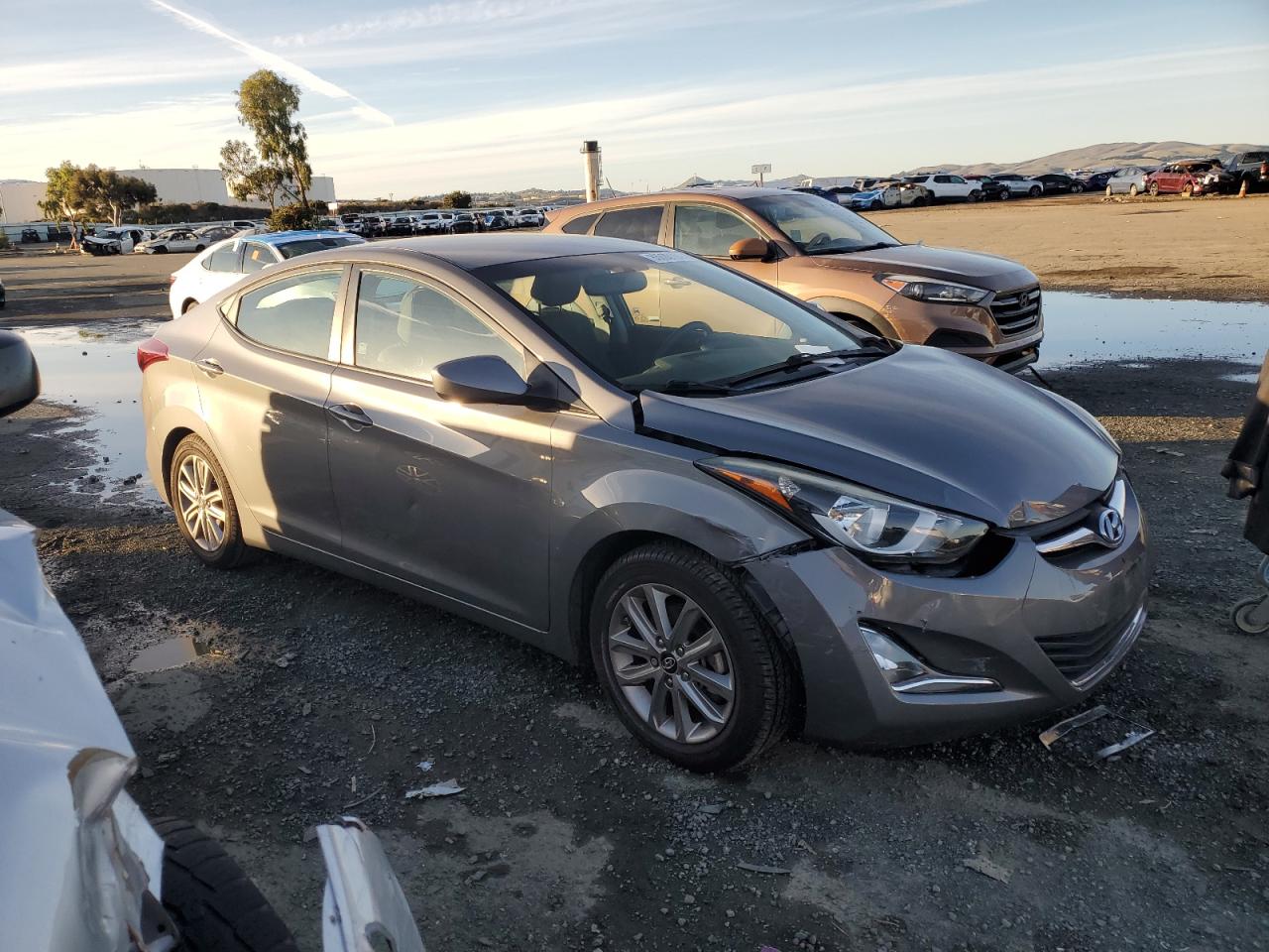 Lot #3050758113 2014 HYUNDAI ELANTRA SE