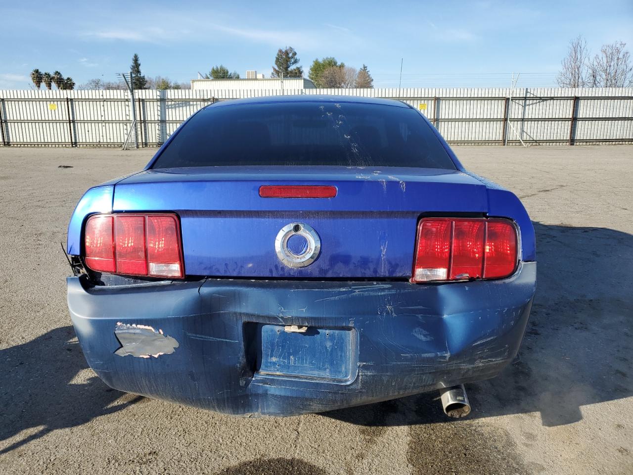 Lot #3040694777 2007 FORD MUSTANG