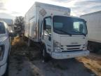 Lot #3024595607 2017 ISUZU NQR