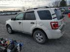 Lot #3023421289 2012 FORD ESCAPE XLT