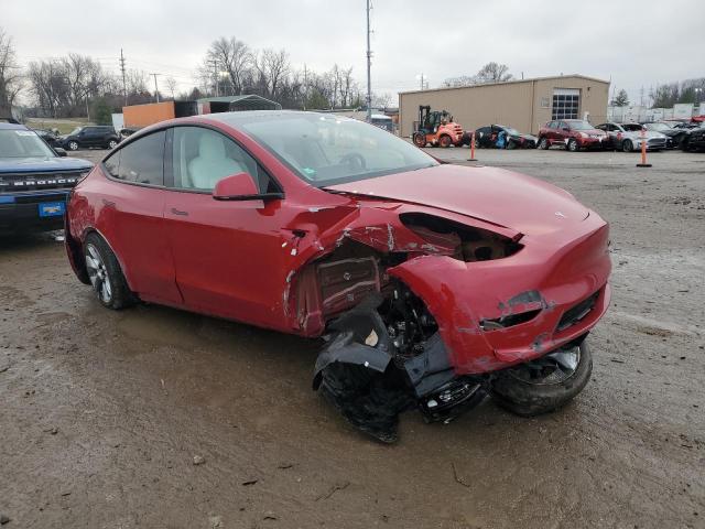 2023 TESLA MODEL Y - 7SAYGAEE5PF664821
