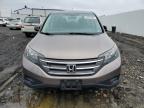 Lot #3032906028 2014 HONDA CR-V LX