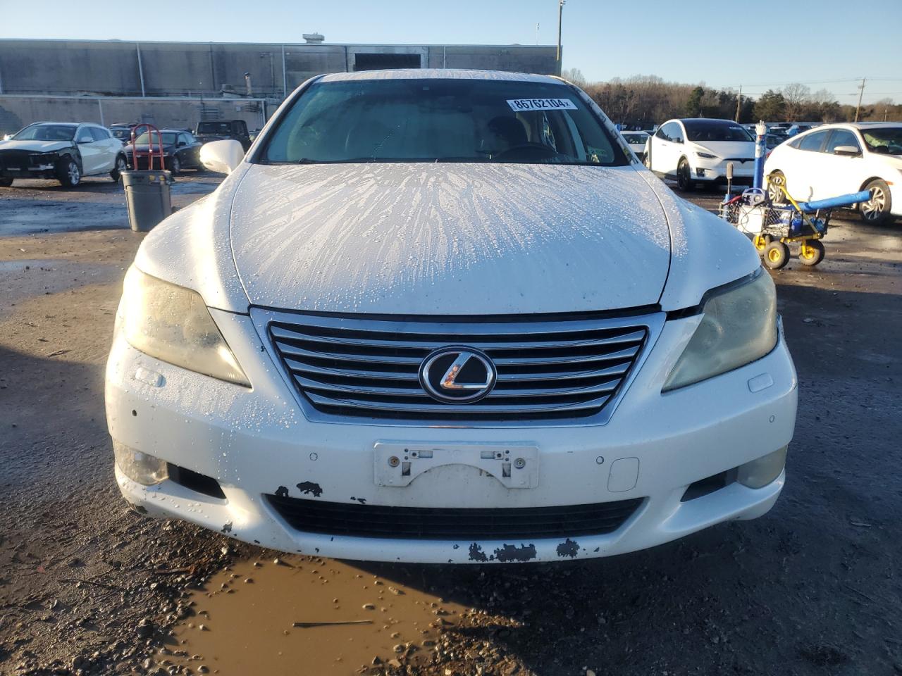 Lot #3041892474 2010 LEXUS LS 460